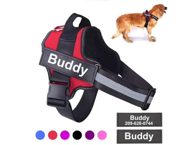 WhatsApp Image 2021 01 29 at 11.09.12