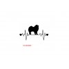 samojed