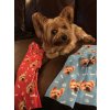 socksss