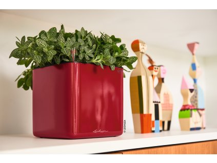 4008789135124 CUBE Glossy 14 scarlet rot highgloss 1[1]