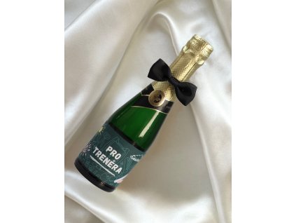 PRO TRENÉRA Bohemia Sekt DEMI SEC 0,2l