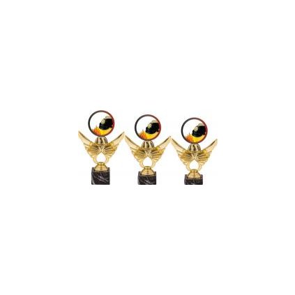 Trofej hasiči PCA0002M12