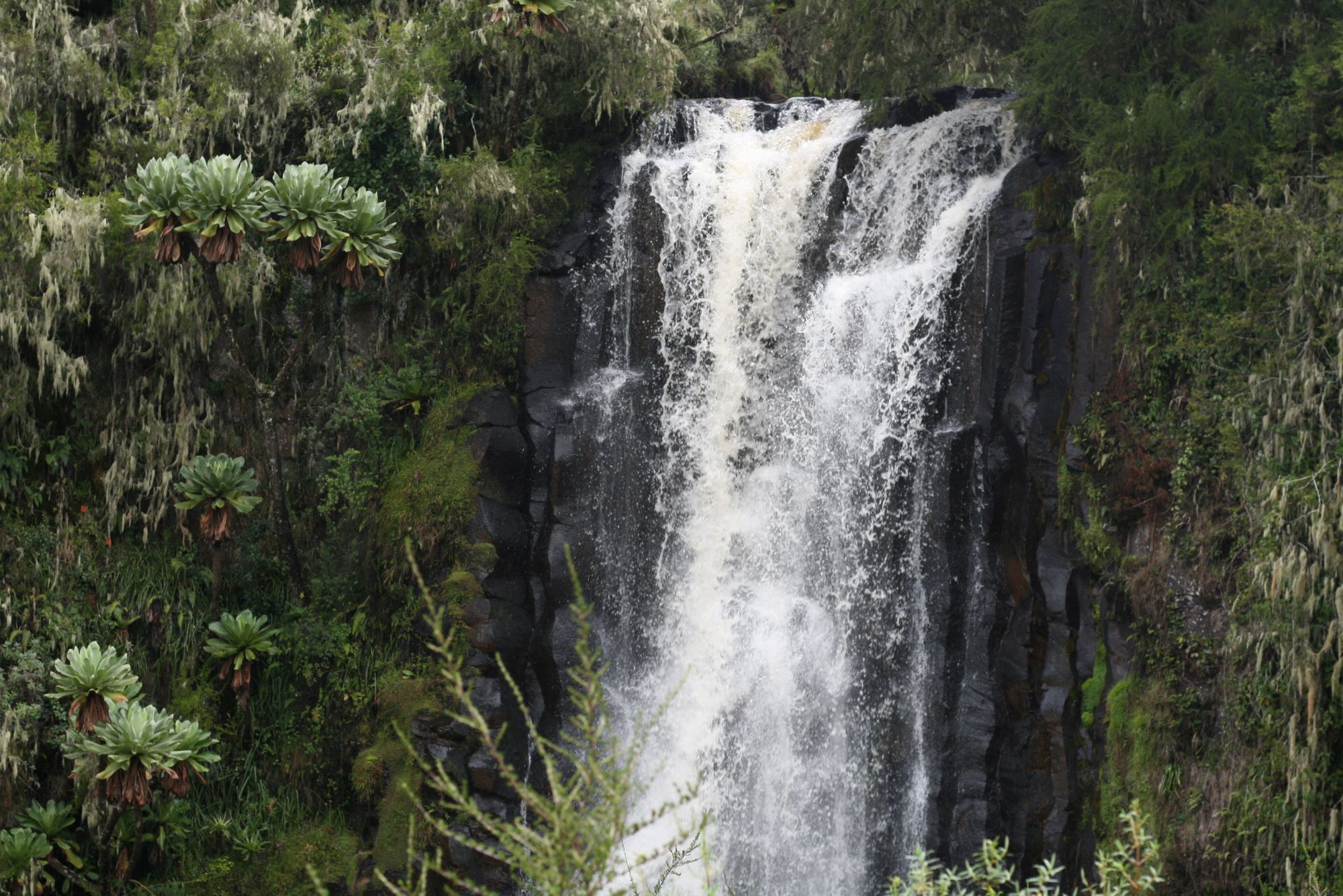 Obklíčeni slony aneb safari v Keni