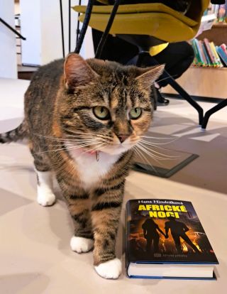 Tahle kočka se jmenuje Kulička a žije v knihovně v Týnci nad Sázavou. Právě ona mě inspirovala ke kočce Africe v mé nové...