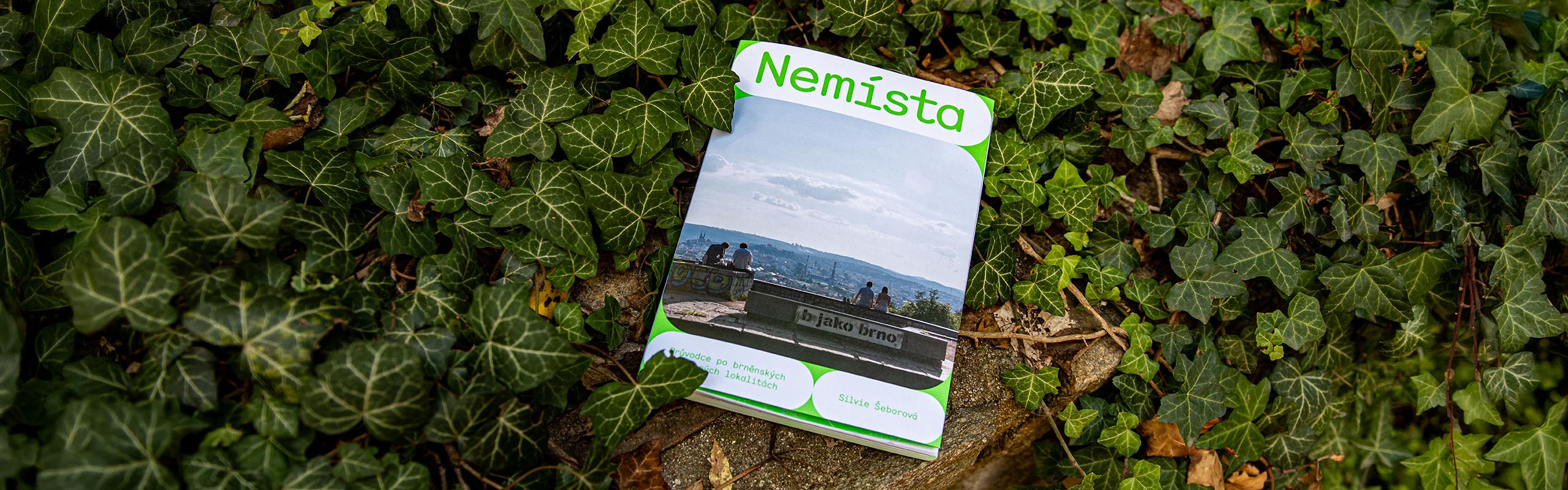 Nemísta