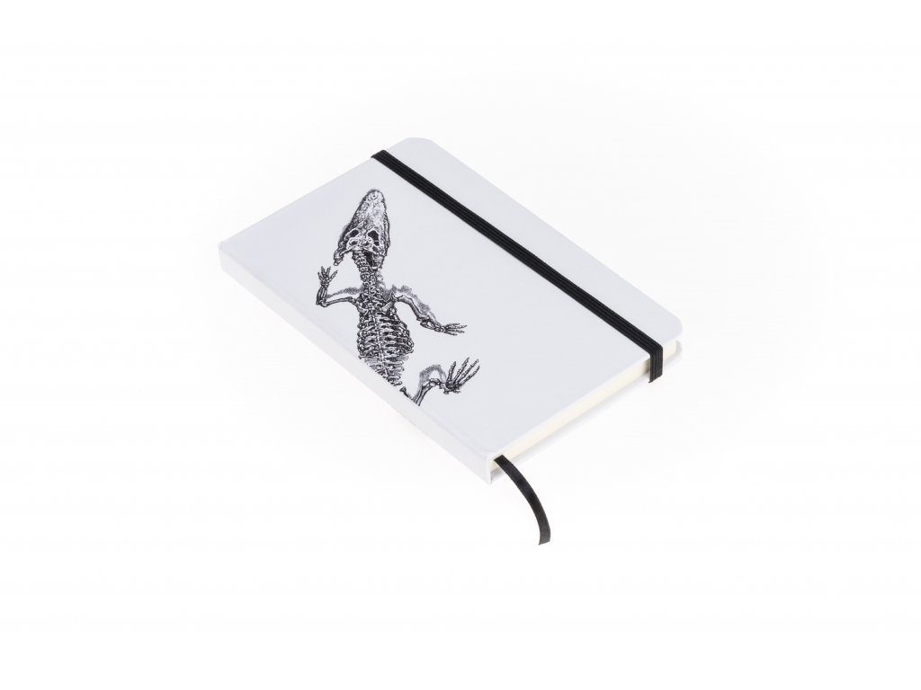 Dragon Notepad