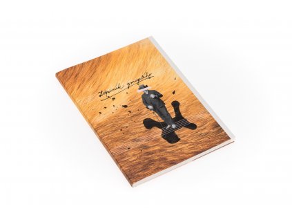 The Diary of the One Who Disappeared