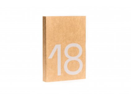 THIS IS BRNO in a Hundred Years