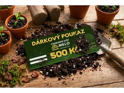 Dárkový poukaz 500,-