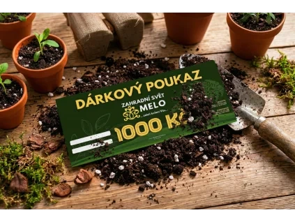 Dárkový poukaz 1000,-