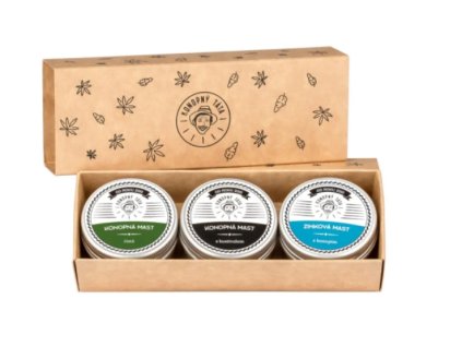 Snímek obrazovky 2025 10 08 085824