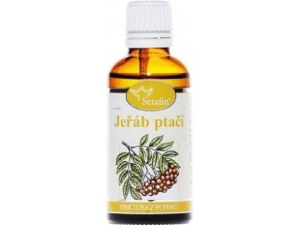 b3fcecf5 eca0 4dc0 b628 1f5d22240fbd