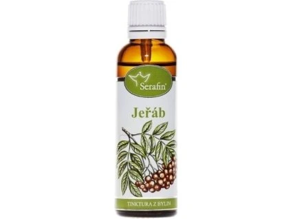 84e712b2 3ef0 4590 8fbf 22428b4d124d