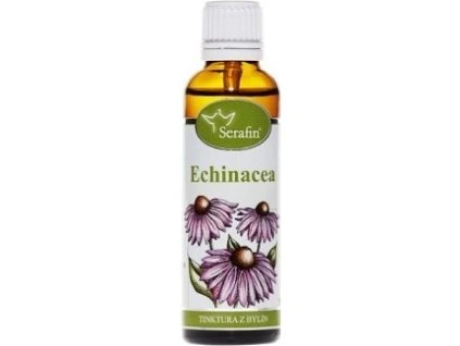 4263348e a105 4d74 b229 b5d85711279f