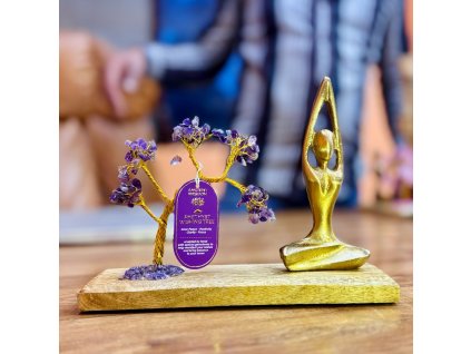 STROMEK ŠTĚSTÍ - JÓGA AMETYST