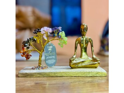 STROMEK ŠTĚSTÍ - JÓGA 7 ČAKER