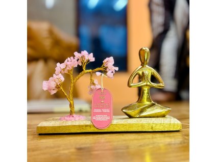 STROMEK ŠTĚSTÍ - JÓGA RŮŽENÍN