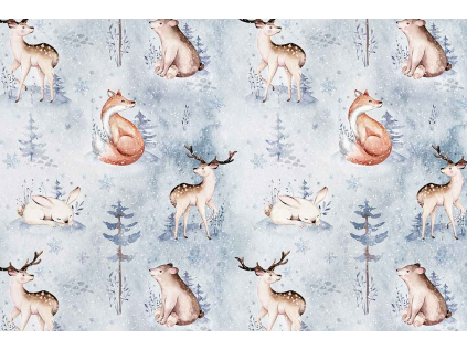 zvířátka +sníh 004