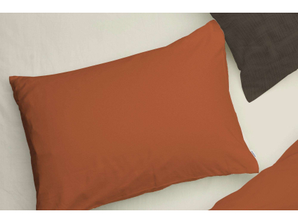 2411 svetle rezava polstar