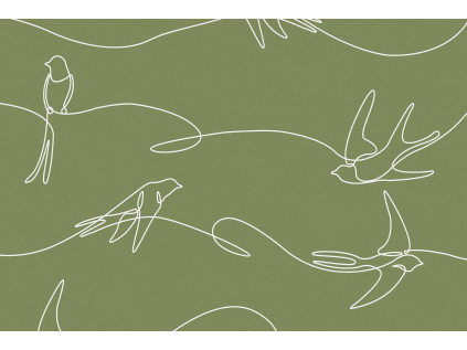 2501 vlastovky linka metraz