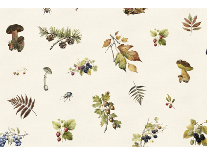 2403 detail 12 podzimni plody