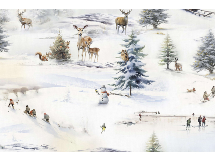 2310 detail vanoce v prirode