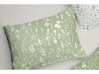 2504 dotek lucnich kvetin polstar