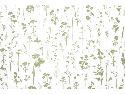 DOTEK LUČNÍCH KVĚTIN