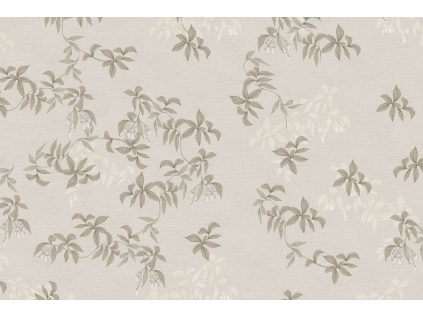 ptačí harmonie zad