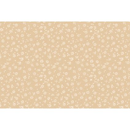 2603 venkov 90x70 bezovy latka 1