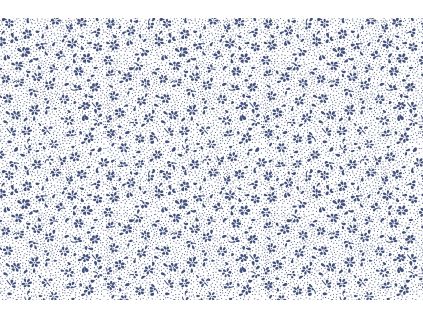 2511 venkov 90x70 venkov modre 1