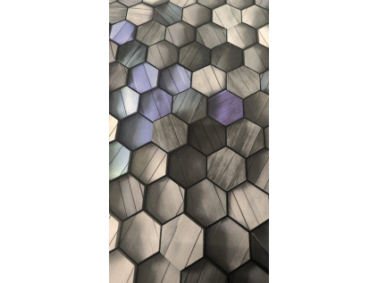 WhatsApp Image 2026 01 30 at 10.49.39