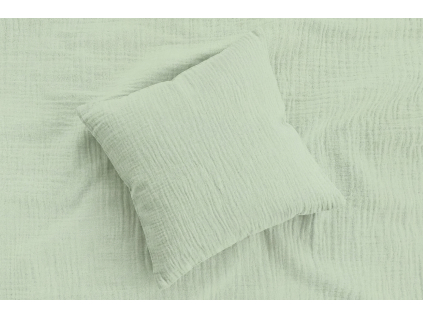 2602 muselin salvia 5