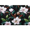 Bavlněná látka Květy magnolie - černá š.160