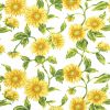 2606 zastera kvety slunecnice 2