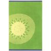 2606 plazova kiwi 6