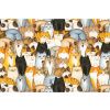 Perkálové bavlněné povlečení do postýlky Kočky