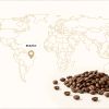 2606 kava brazil 75 3