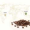 2606 kava brazil 72 2