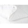 Péřová přikrývka DAILY COMFORT