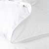 Péřová přikrývka DAILY COMFORT1