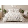 2602 modra harmonie 1