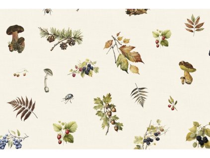 2403 detail 12 podzimni plody