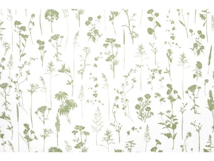 DOTEK LUČNÍCH KVĚTIN