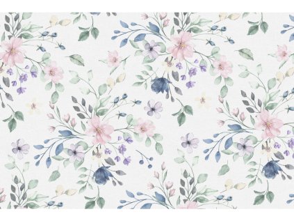 2508 letni sen metraz