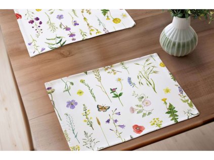 2503 prostirani letni louka