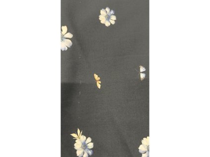 WhatsApp Image 2026 01 30 at 11.18.55