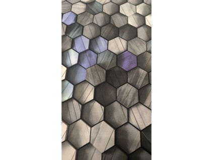 WhatsApp Image 2026 01 30 at 10.49.39