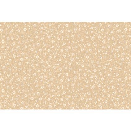 2603 venkov 90x70 bezovy latka 1