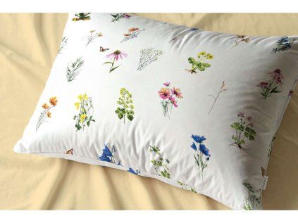 2502 vonava louka polstar